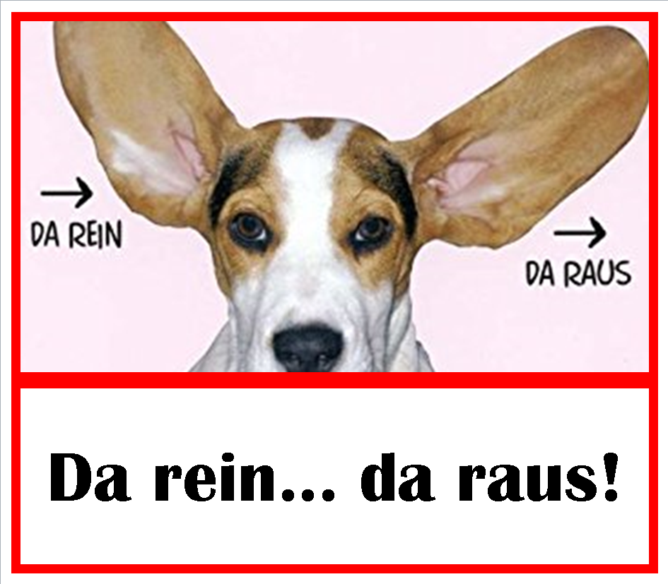 20180203_da_rein_da_raus